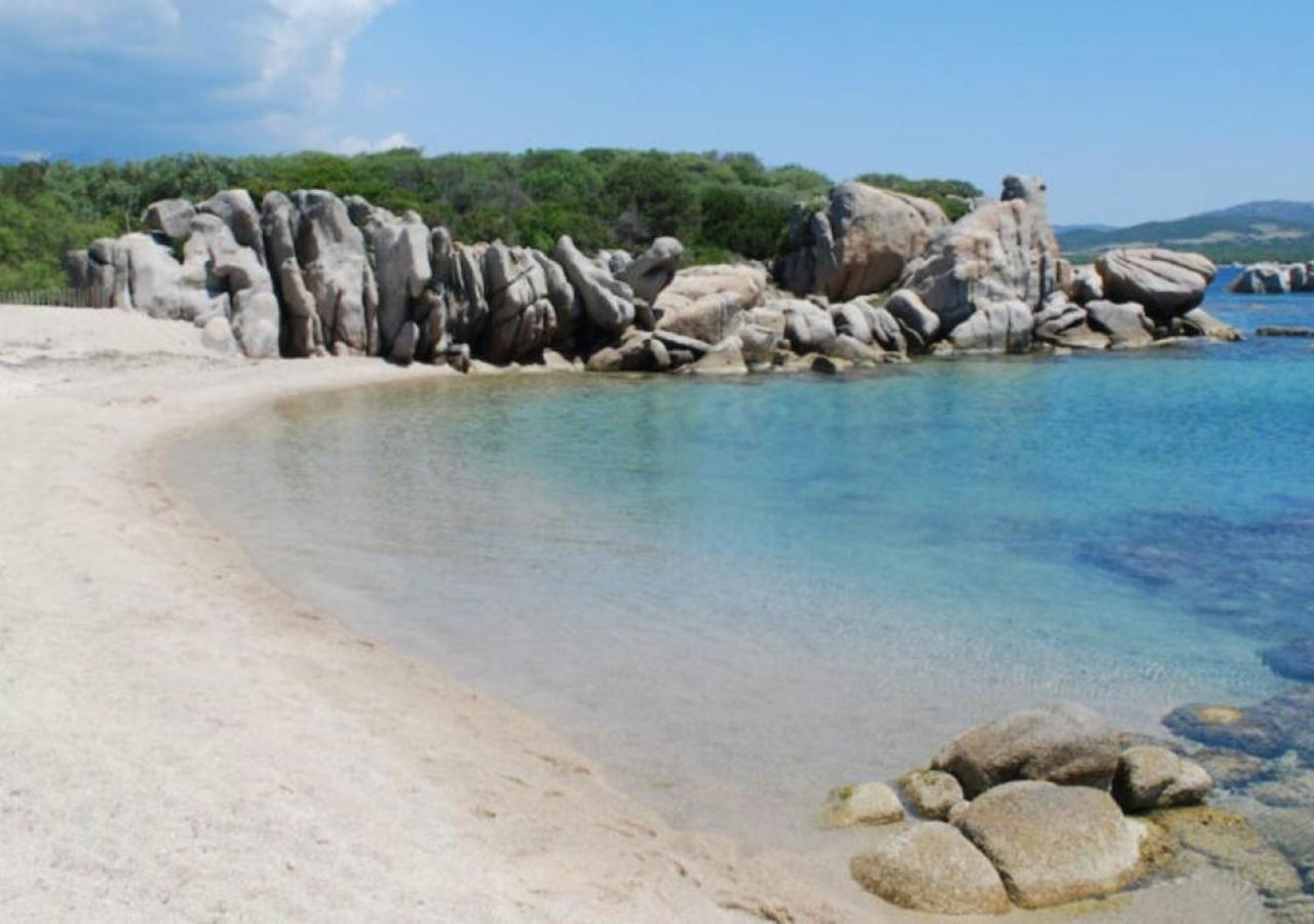 Chalet V Tout Confort Proche Des Plages Pianottoli-Caldarello (Corsica) Eksteriør bilde